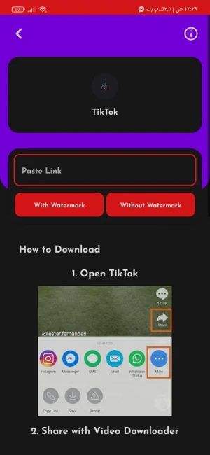 Video Downloader Screenshot 2