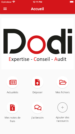 DODI EXPERTISE Screenshot 1