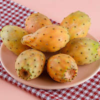 شجرة الصبار