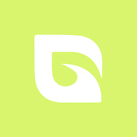 Gesfy: Finance Copilot