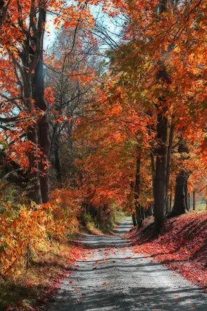 West Virginia Wallpaper HD Screenshot 1