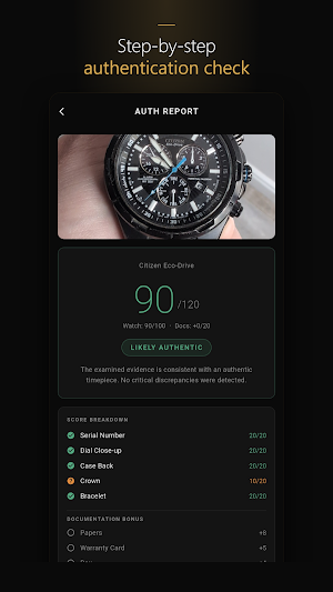 Watch Authenticator: AI check Screenshot 3