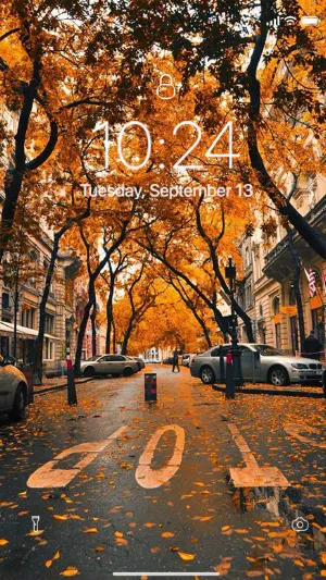 Autumn Wallpaper Screenshot 2