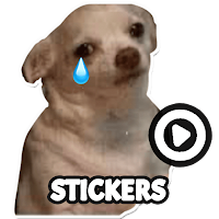 Dog meme sticker WAStickerApps