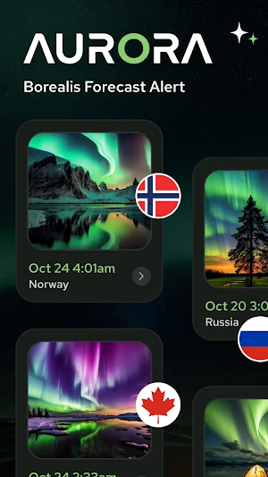 Aurora Forecast Screenshot 0