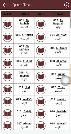 Yusuf Al Aidroos Offline Quran Screenshot 3