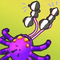 Spider Evolution