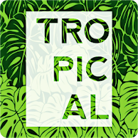 Tropical Wallpapers