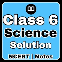 Class 6 Science Notes English