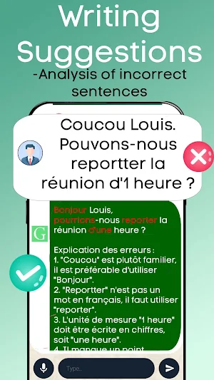 French Grammar Checker - Frex Screenshot 1