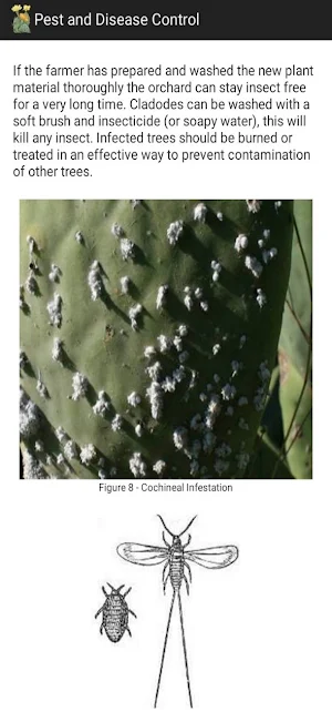 CactiGrow Screenshot 3