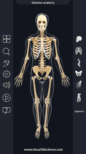 Skeleton Anatomy Pro. Screenshot 1