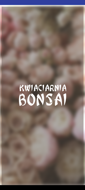 Kwiaciarnia Bonsai Siedlce Screenshot 1