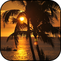 Hawaii wallpapers