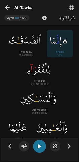 Quran Project Screenshot 3