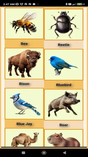 Animal Soundboard Learn & Play Screenshot 2