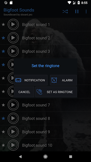 Bigfoot Sounds ~ Sboard.pro Screenshot 2