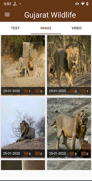Gujarat Wildlife - Forest Screenshot 1