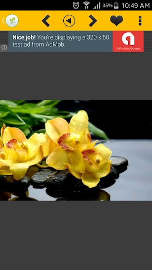 Flowers Wallpaper 2016 Screenshot 1