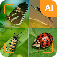 Insect ID - AI insect identify