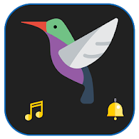Birds Sounds and Info: Sounds 