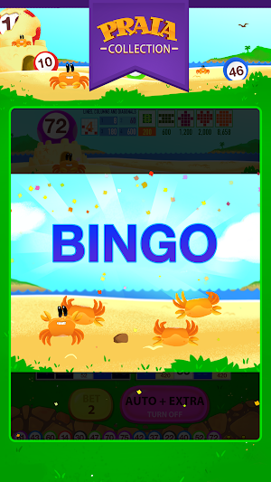 Video Bingo Buzios Screenshot 1