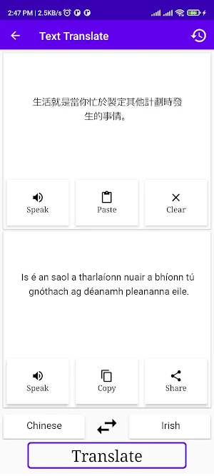 Chinese To Irish Translator Screenshot 1