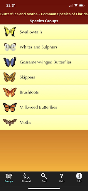 Southern Florida Butterflies Screenshot 0