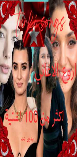 اغاني تركيه : بدون نت Screenshot 1