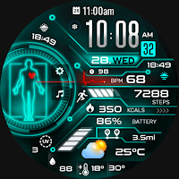 ML2U 259 Watch Face