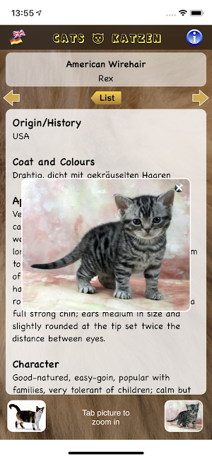 EuroCats Screenshot 3