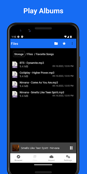 OfflineFiles DManager, Browser Screenshot 1