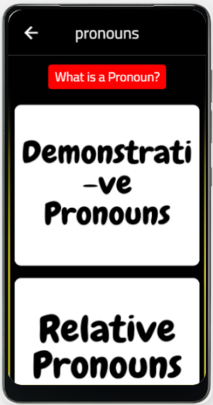 pronouns Screenshot 3