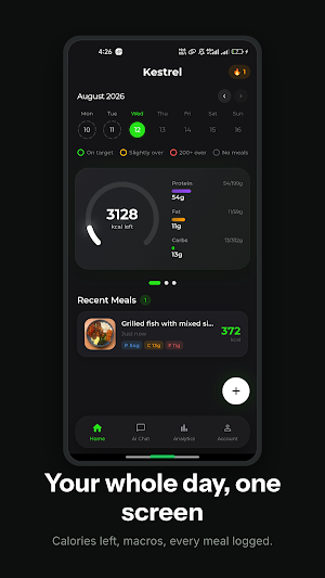 Kestrel Screenshot 2