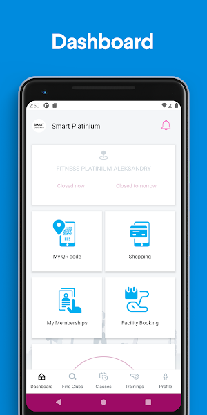 Smart Platinium Screenshot 0