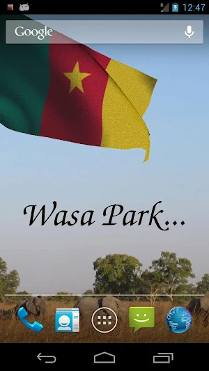 Cameroon Flag Live Wallpaper Screenshot 3
