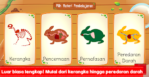 Marbel Sains: Anatomi Hewan Screenshot 1