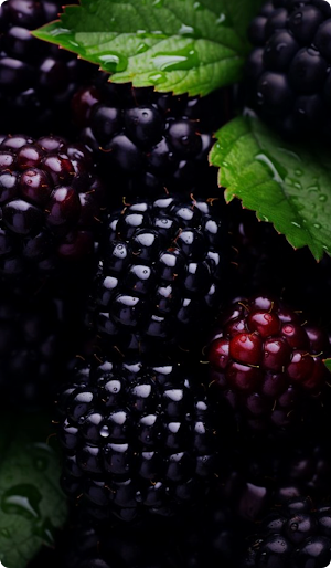 Fruit Berry Cute Wallpaper Screenshot 2