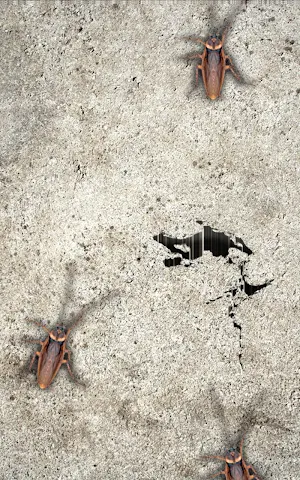 KillCockroach Screenshot 0