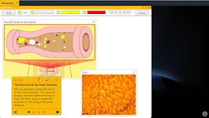 Science SuperLab for Classroom Screenshot 2