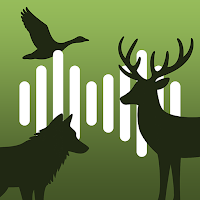 Hunting Calls: All-in-One