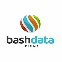 Bashdataplus