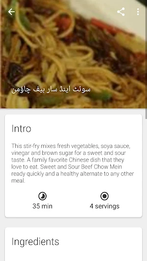 Beef Recipes in Urdu Screenshot 3