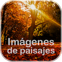 photo of landscapes