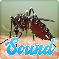 Mosquito Sounds Effect