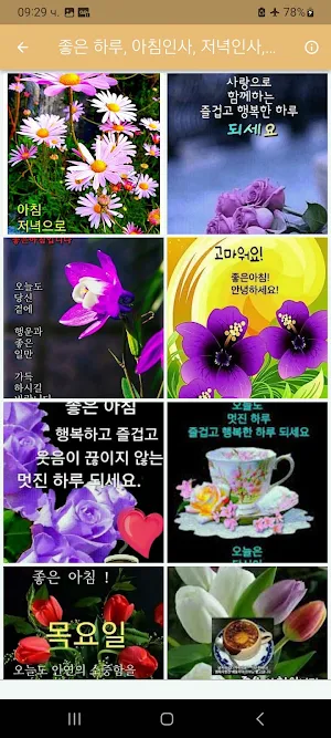 좋은 하루, 아침인사, 저녁인사, 예쁜 인사이미지! Screenshot 2