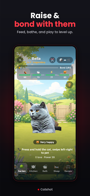 Catshot - Catch a Cat Screenshot 3