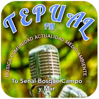 Radio Tepual