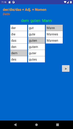 German Adjective Endings Screenshot 3