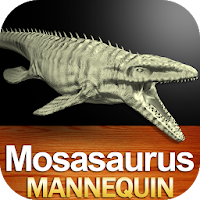 Mosasaurus Mannequin
